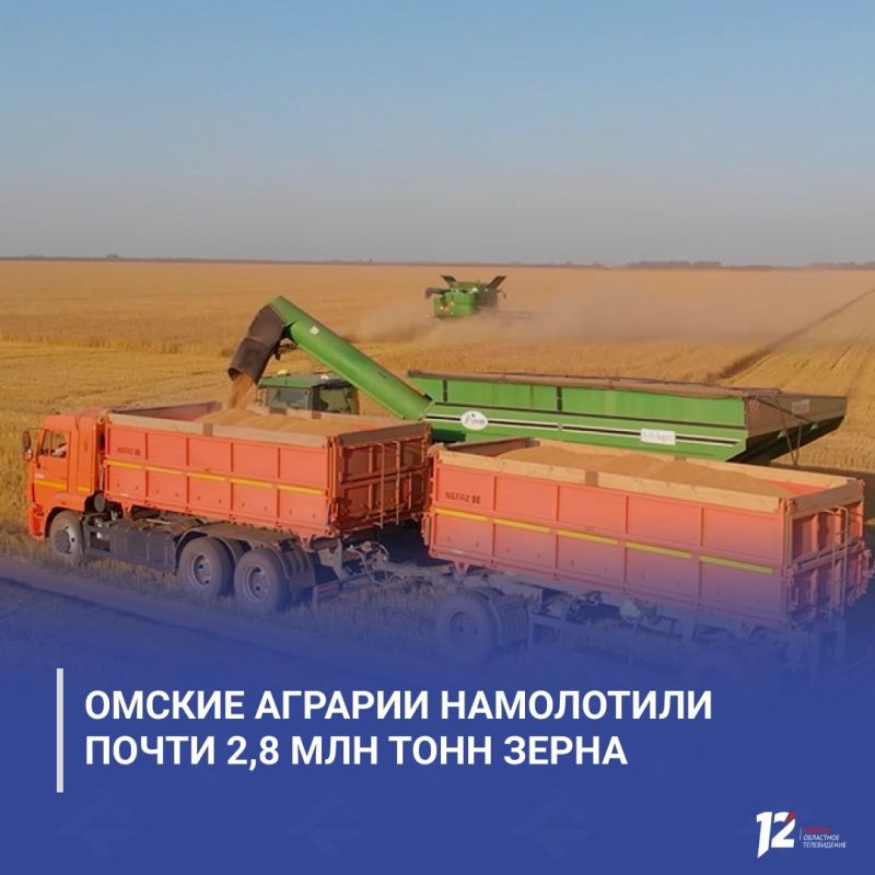 Виталий Хоценко: омские аграрии намолотили почти 2,8 млн тонн зерна