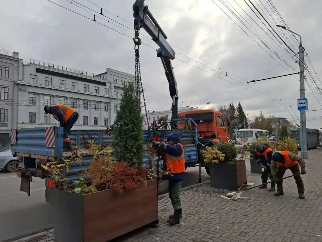 Растения с улицы Гагарина проведут зиму в питомнике Растения с улицы Гагарина проведут зиму в питомнике