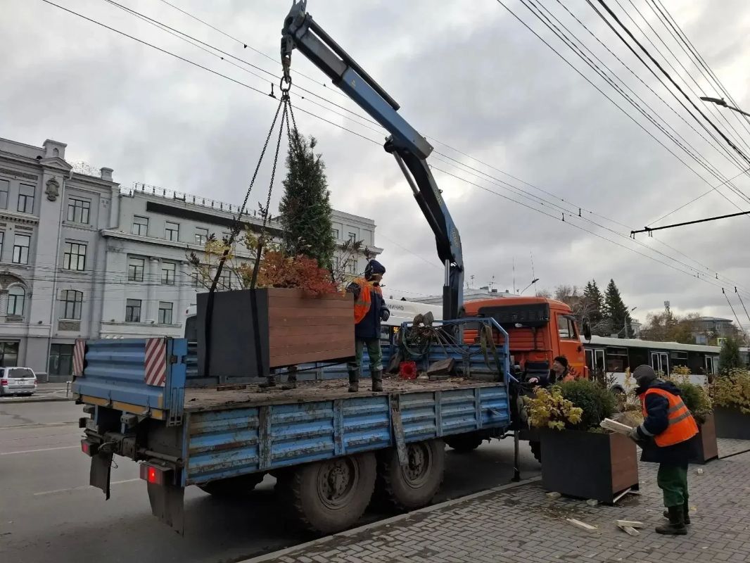 Городские цветы отправляют на зимовку
