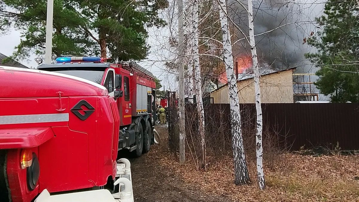 В Омске посреди дня полыхает садовое товарищество