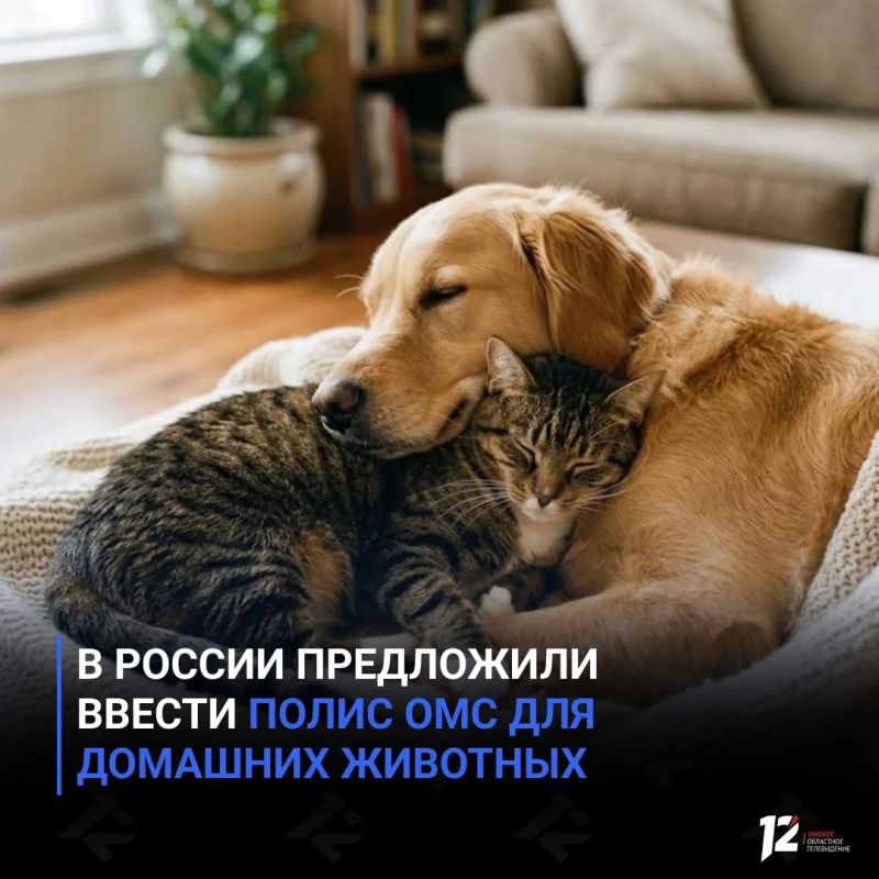 В России предложили ввести полис ОМС для домашних животных