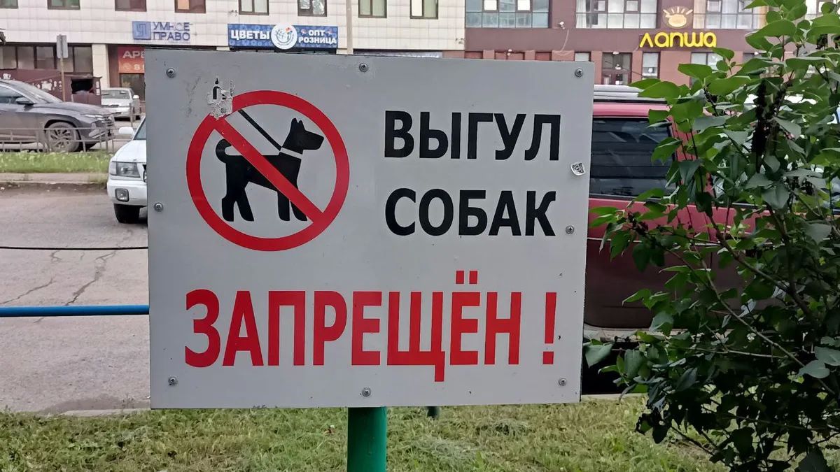 Омские собачники требуют отменить запрет на выгул питомцев в парках