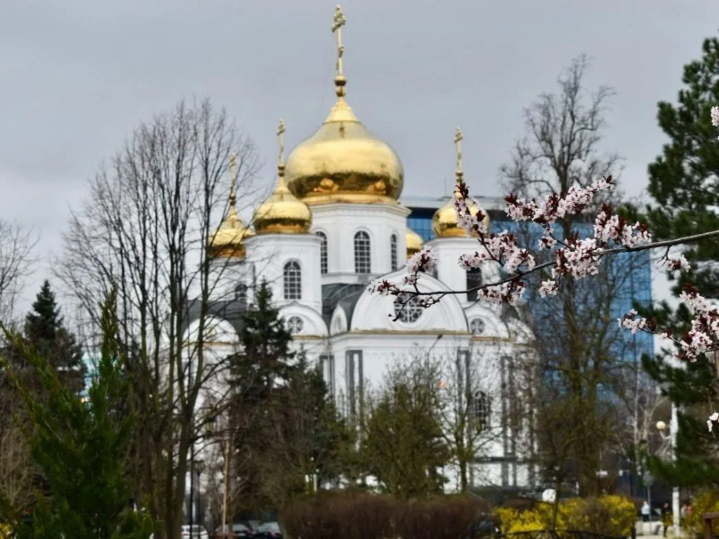 Омичей приглашают принять участие в голосовании за культурную столицу России 2028 года