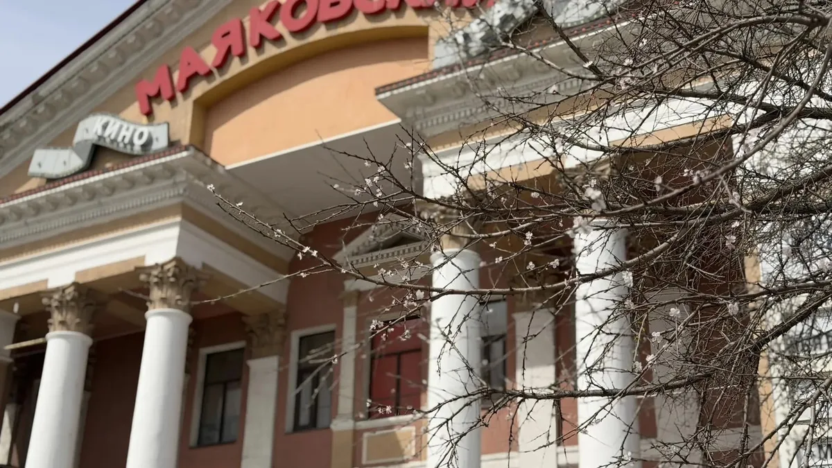 В центре Омска взялись за знаменитый абрикос у «Маяковского»