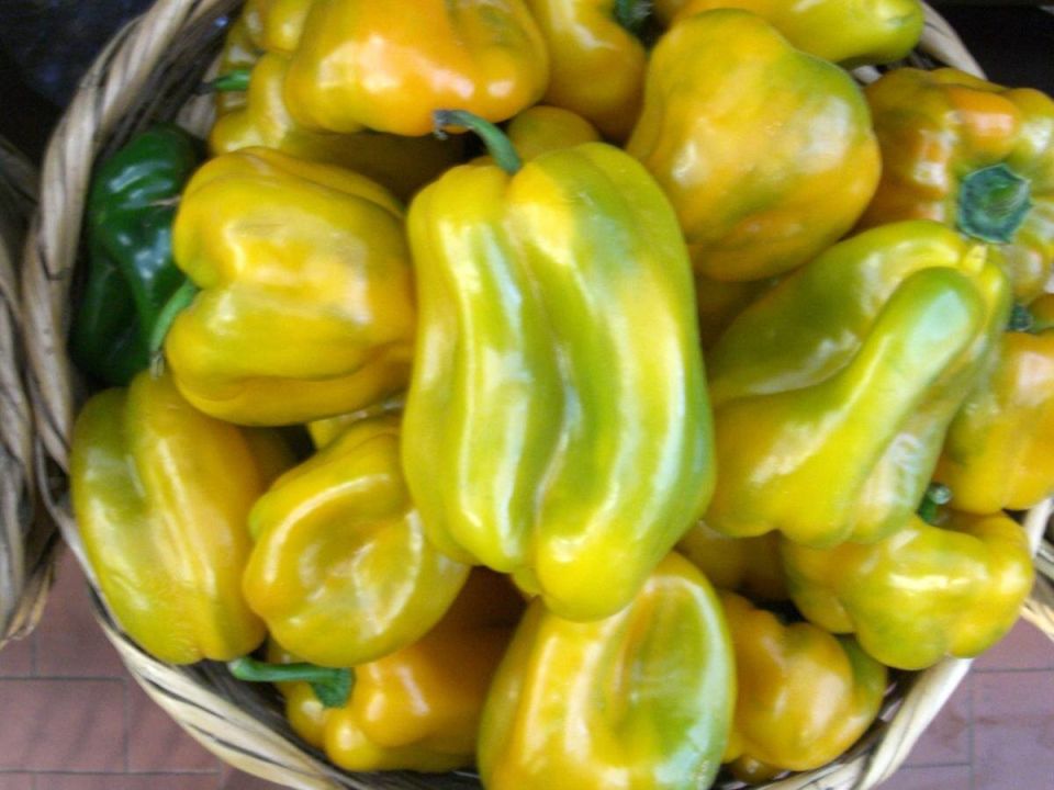 Как правильно ухаживать за перцем: секреты для успешного урожая