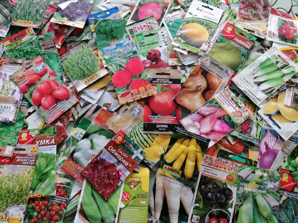 Топ производителей семян: кто действительно достоин доверия садоводов