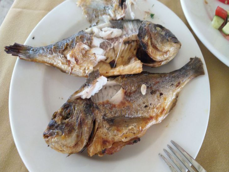 Почему жареная рыба горчит: кулинар делится хитростью — вмиг исправит блюдо