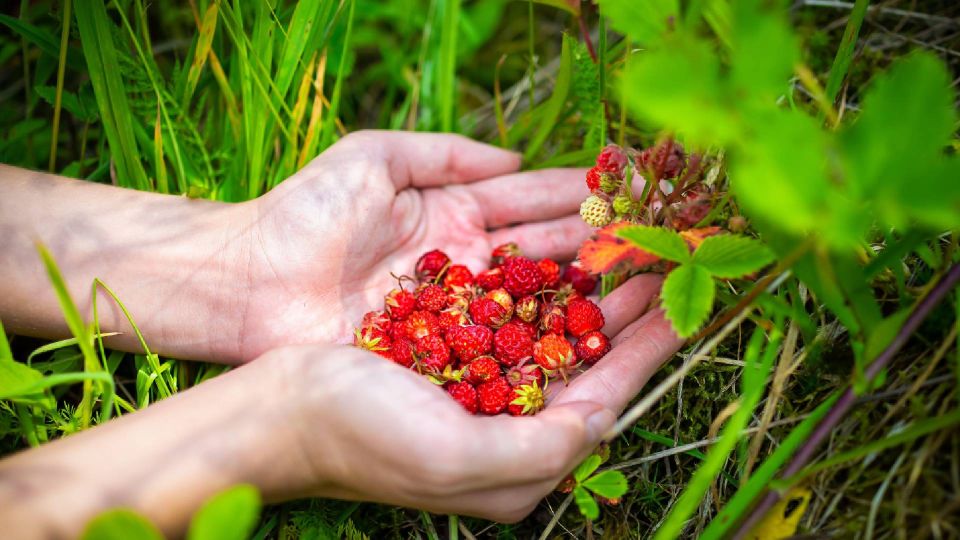 �������� �������� ������ ��-�� ���� ������: ��� ��� ����� ��������� � ����� �� ������