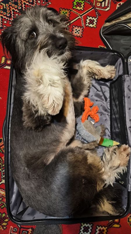 ���� ������ �����? � ����� � ������� ����� 2025 ����