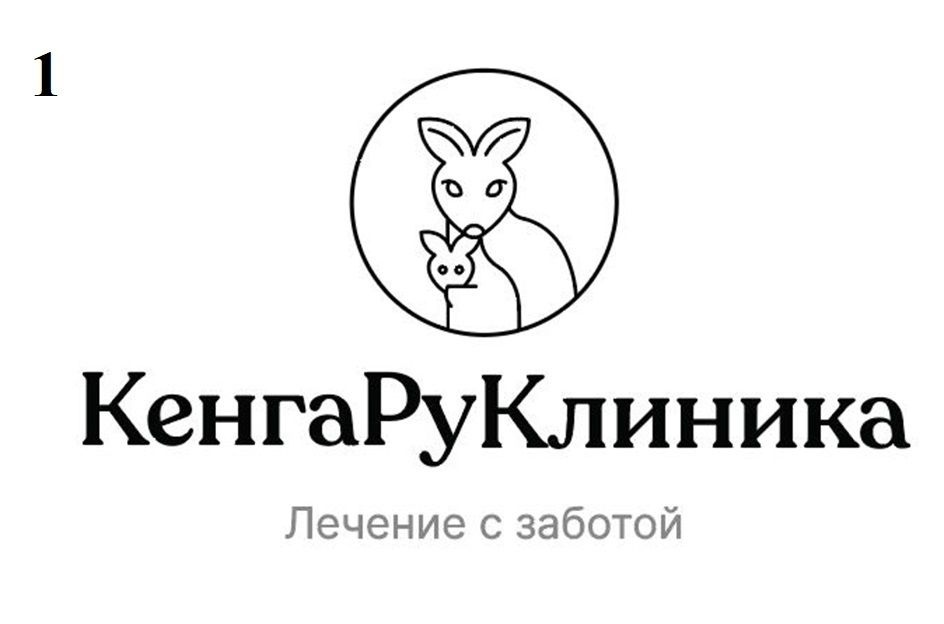 ����������� ������� � ������� ����������: ������������ ������� � ������