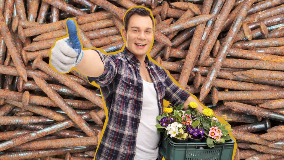 �������� ��������: � ���� ���������� �� ������ ������� ���������� ���� ��������