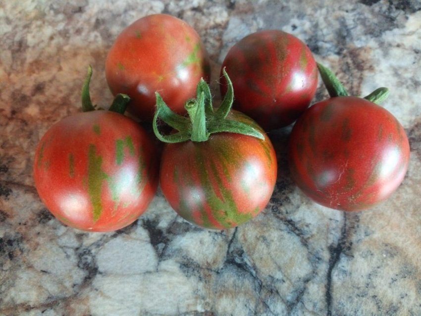 ����� ���� ����: ���������� ���� � ������� ������� � ������������ ������