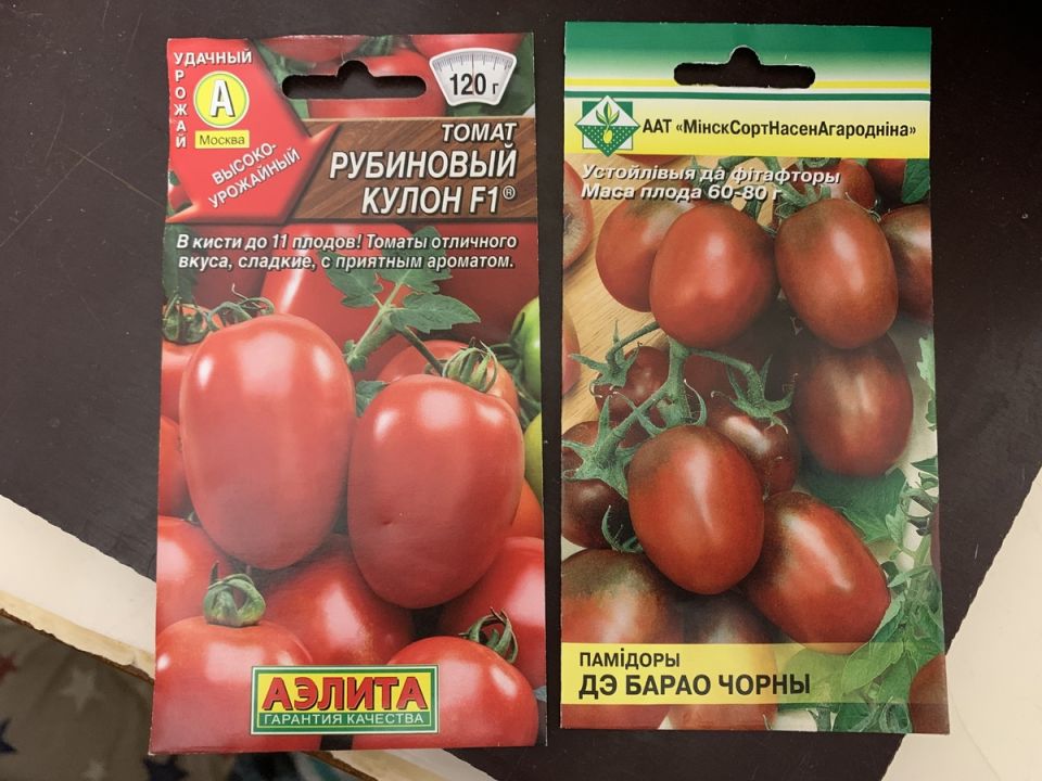 ������ � ����������: ������ '��������� �����' ����������� ������ ���������