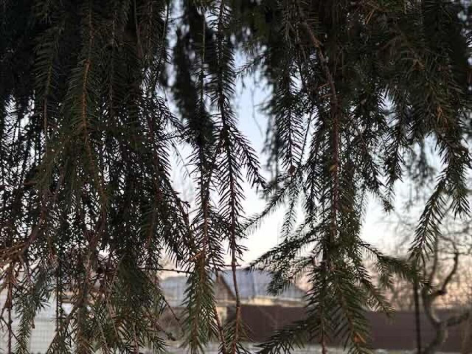 ��� ��������� ��� ������� � 1 ������? ��� �������� ��������� 2026 ����