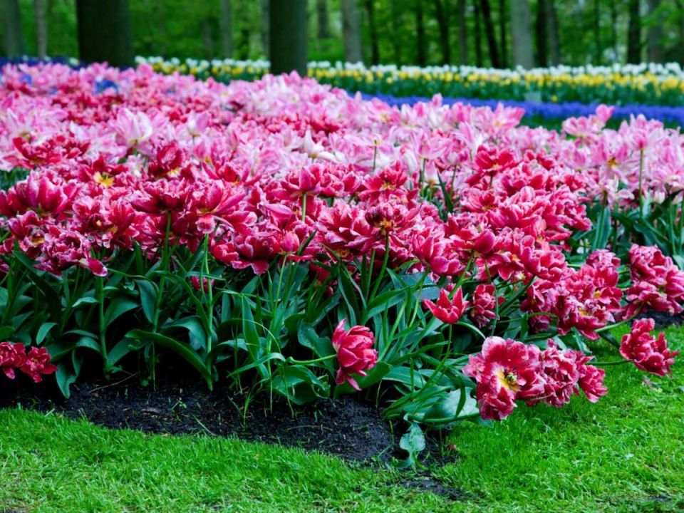 ������� ��������: ����� ����� ����� �������� � ������� � ��������� ���������������?