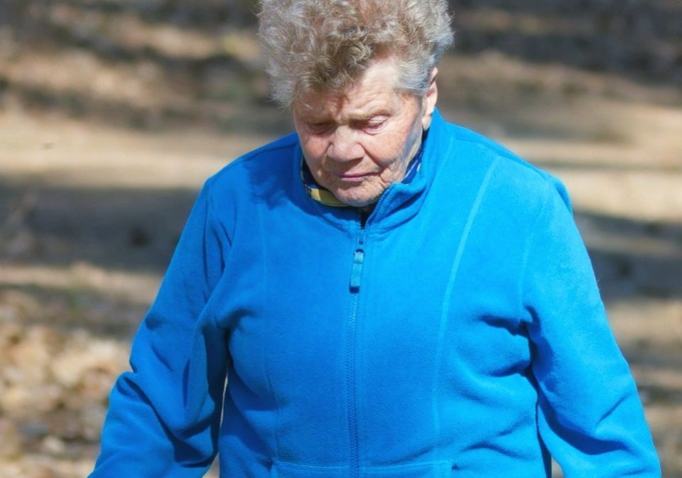 ��� ������������ ���� ��� ������: �������� ������