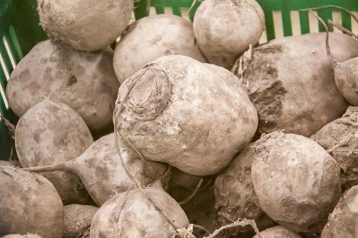 �� ��������� ������ � ���� ������ ������ ������: ��� ��� ����������� �� � ���� ������� � ��� ������� � �������������