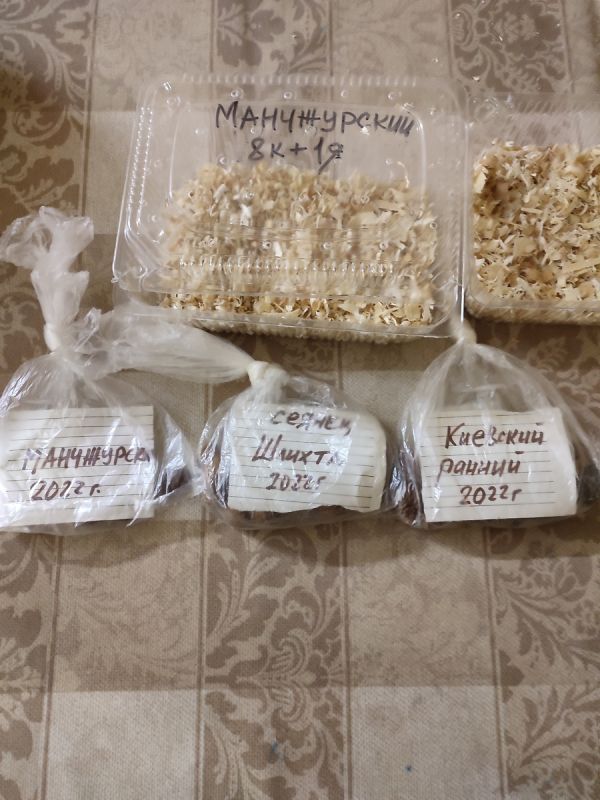 ����� ��������: �� �������� �� ������������� ������