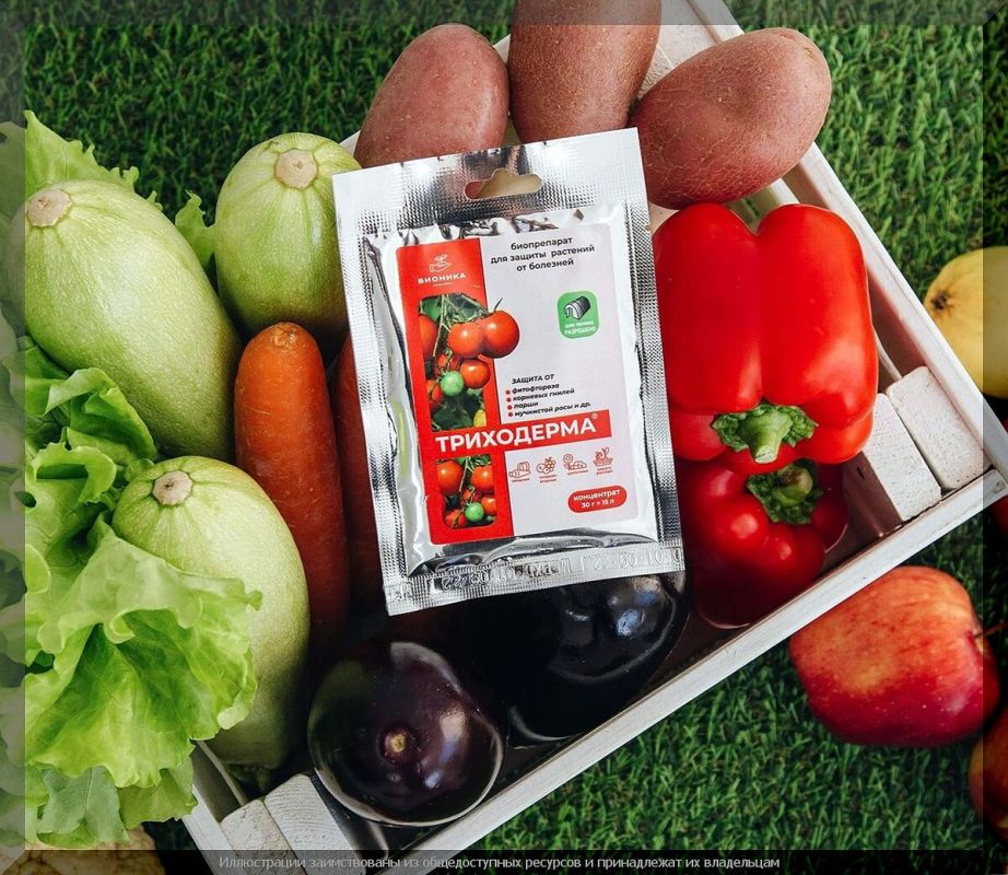 ��� ���������� �������� � �����������: ������� � ������