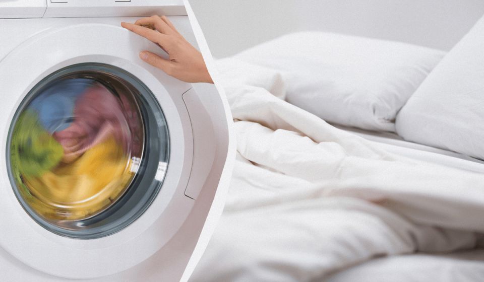 ��� ����� ����������� ������� ������ ������: ��� ��������� ���� � �������� ������