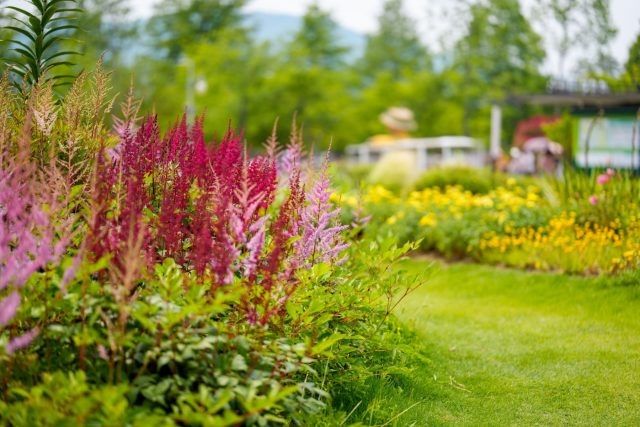 Как теневые уголки превращаются в цветущий сад: практичное руководство