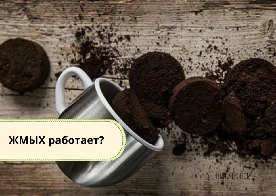 Кофейный жмых в саду: мифы и реальность использования