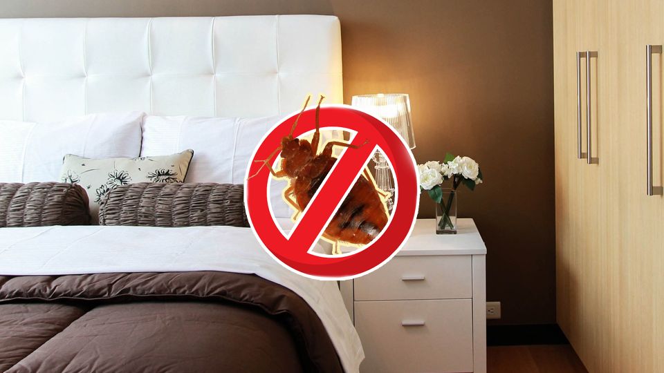 ��������� �� �������: ��� ��� �������� �� ��������� ���������� ������