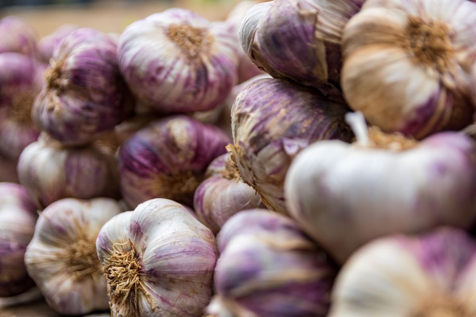Чтобы головки выросли крупными: какой чеснок лучше выбрать для посадки