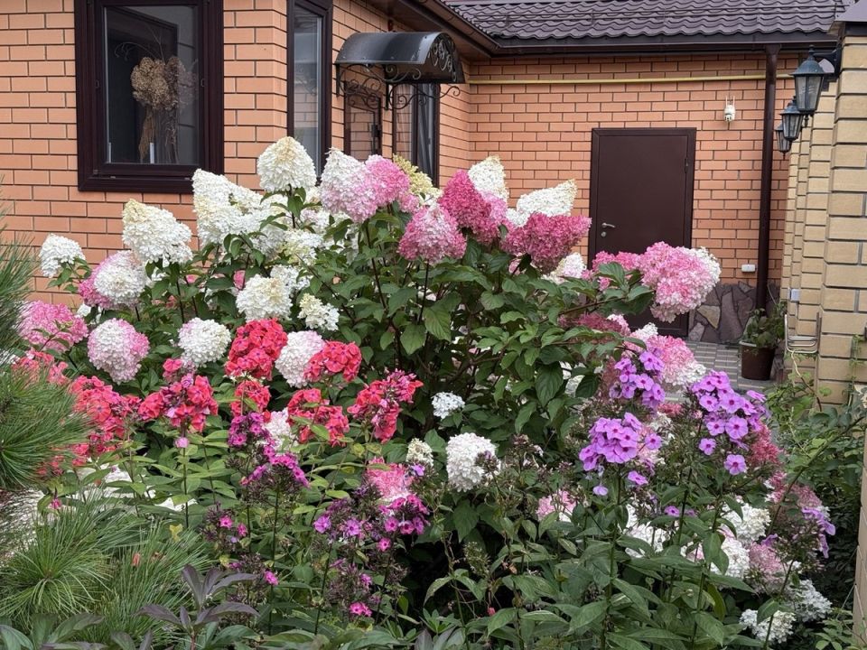 ��� ������������ ������ ����� �� ����������