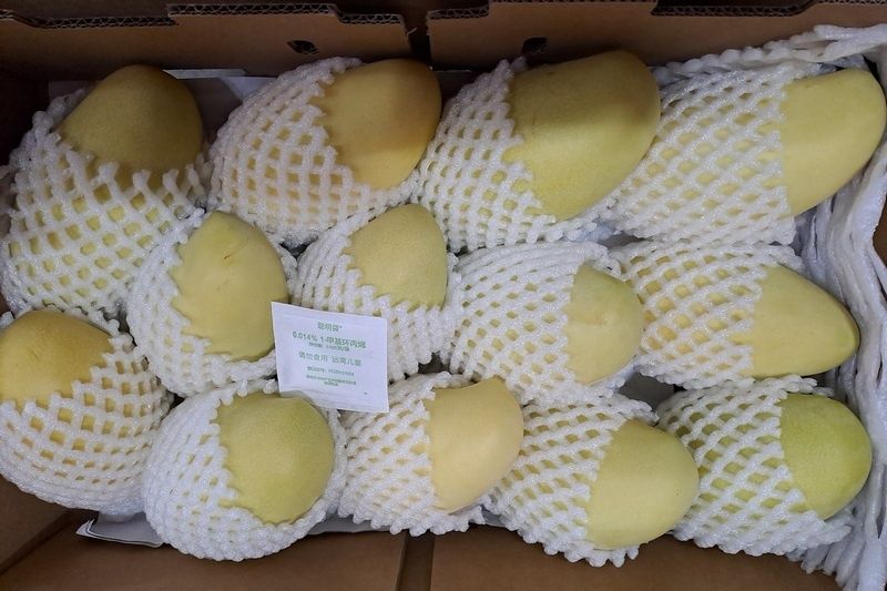 ���� ��������� ������������ ������: ����� ������ ���� � �������� ��������� �� �����