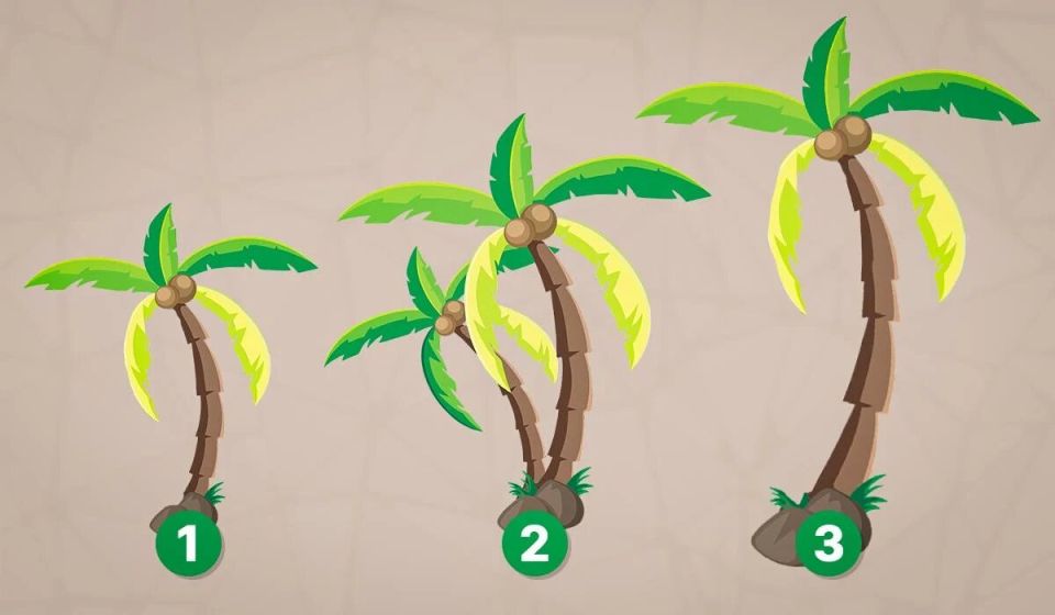 ����� � ��� ������� �����������: �������� ������������� ����