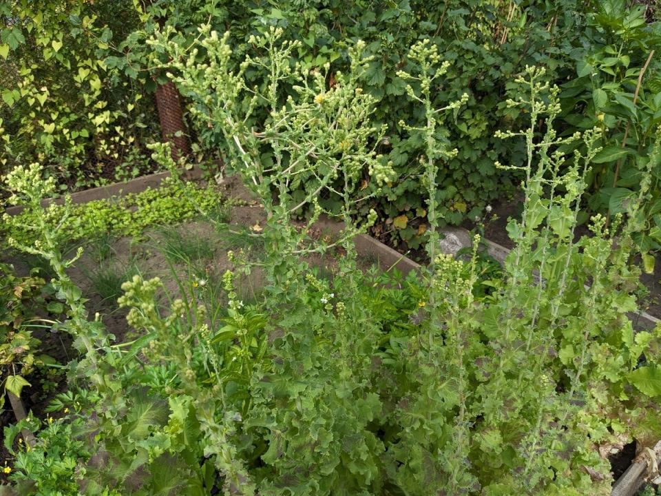 ���������� �������: ��� ���������� � ������� �����������