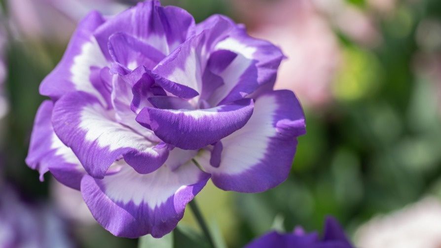 ��� ��������� 200 ������ �� �����: ������� ������������� ������