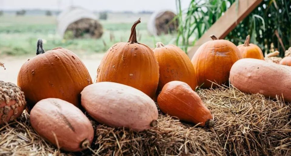 ��� ��������� ����� �����: ������� � ������ ��� ��������� ������