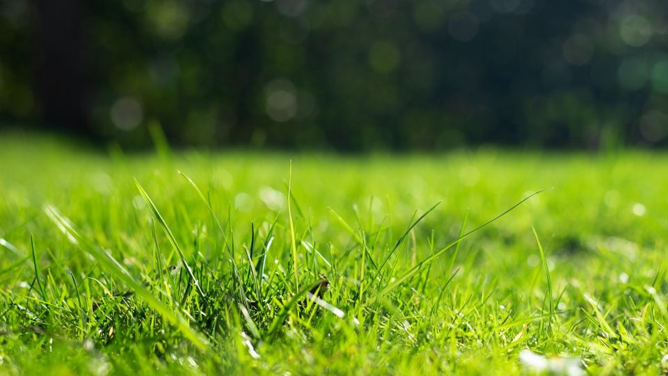 ����� ������� ���������� � �������� �������: ���������� ���� ������� ��������