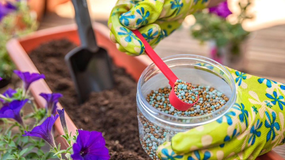 ��� ���������� ��������� ����� ��������� ������: ���������� ���� ����������������