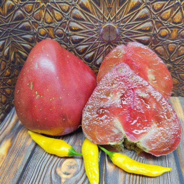 ����� ��������� ����� ������: ��� ��������� ����� ��������������� �����