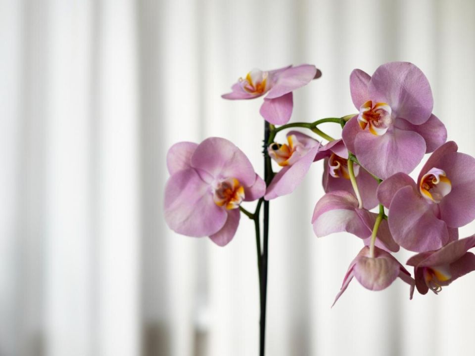 ������ ������ � ��������: ��� ������ �������� ������ � �������