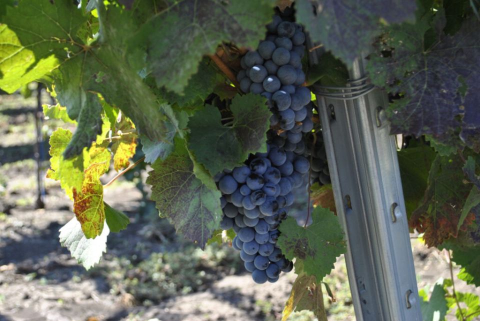 ������� ���� ����� ���� ��������� �� ������������� ������ � ���������� �����