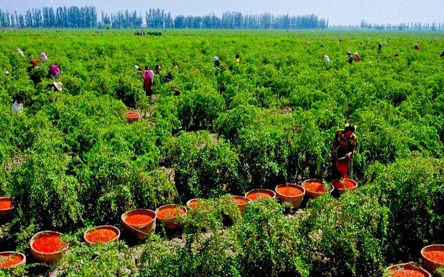 ����� ��������� � �����: ��� ����� ����� � ���������� ��� �������� � ������ � ������ �����