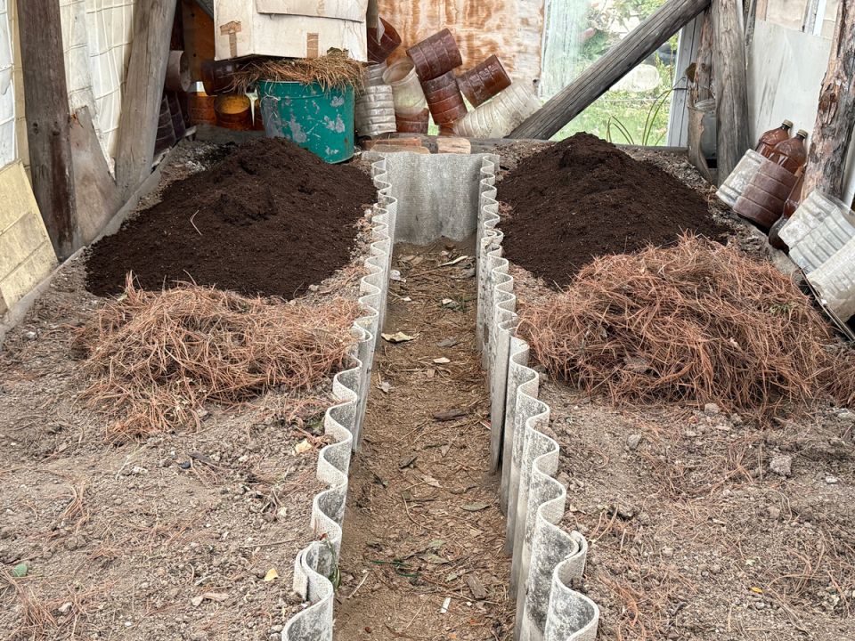 ��� �������� ������� �� �������� ����� �����