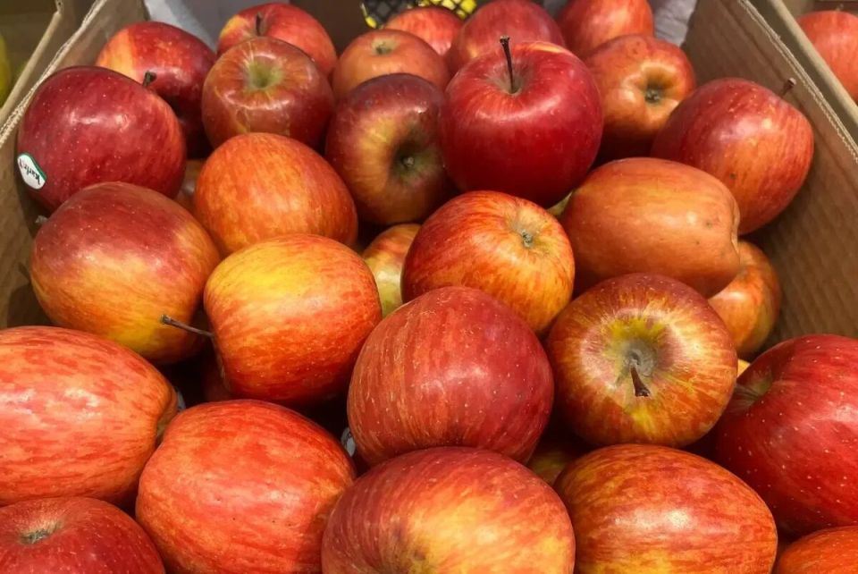 ����� ����� ���� ������ ��� �������� ��������: ������ ���������