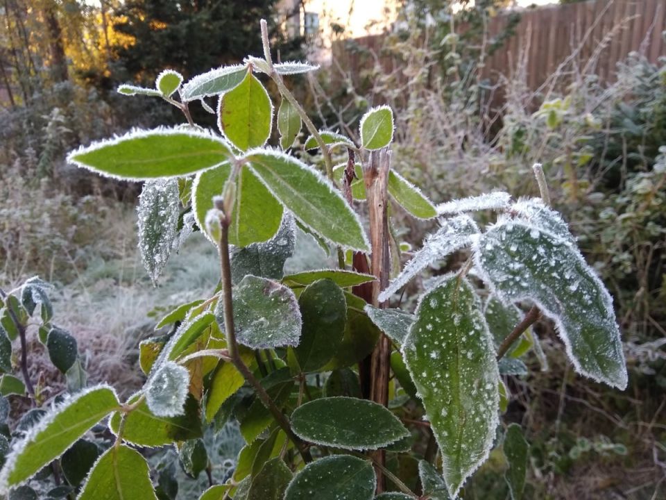 ������ �������: ��� �������� ������ ������ ���� � ������