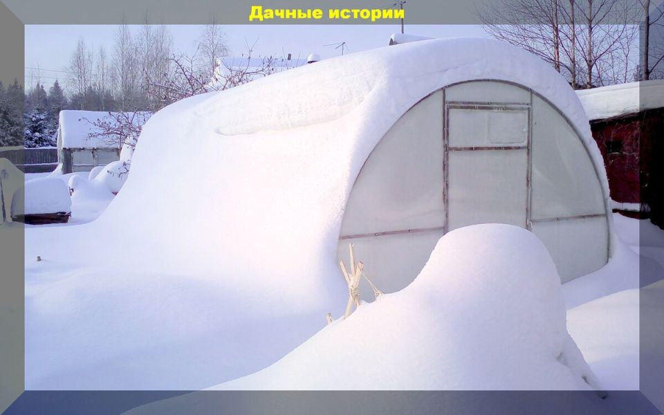 ������ ���� �� ��������: ��� �������� �������