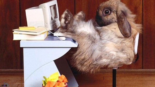 Как оставаться активным за рабочим столом: 8 простых упражнений