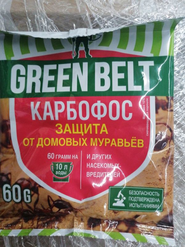 Как эффективно справиться с муравьями в доме и саду: современные методы и советы