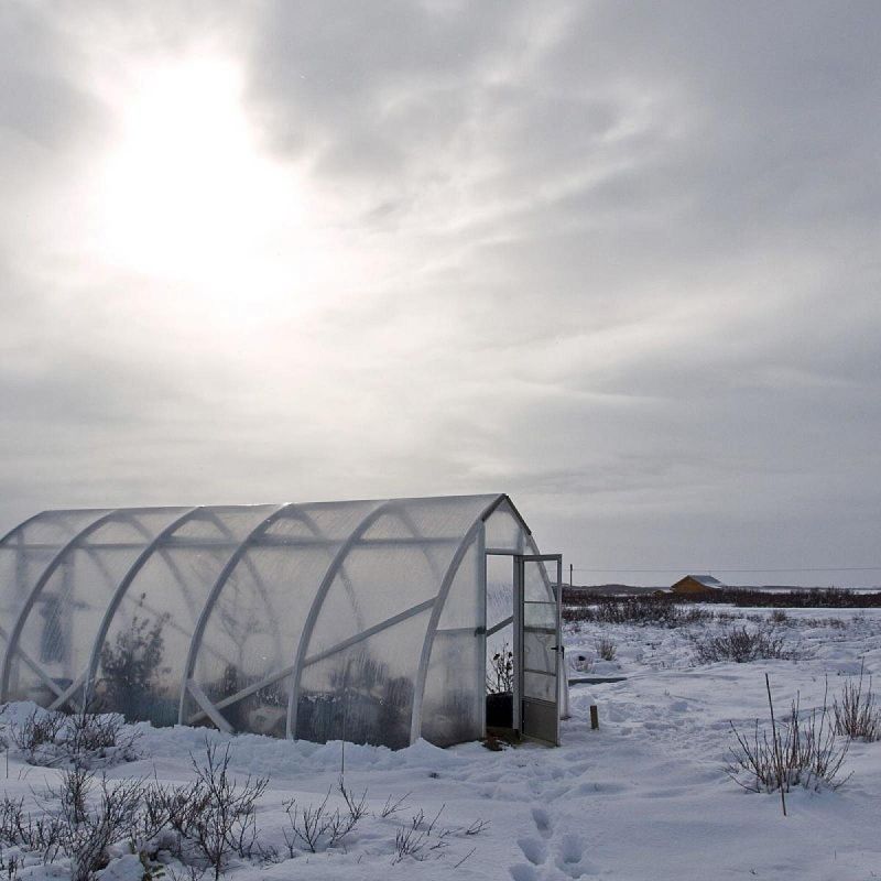 ����������� ������� �������� ������������� ���� �� ����