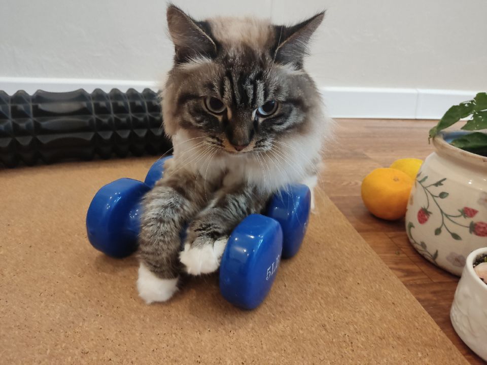 Садоводы готовятся к весне: как наладить гармонию с природой и собой