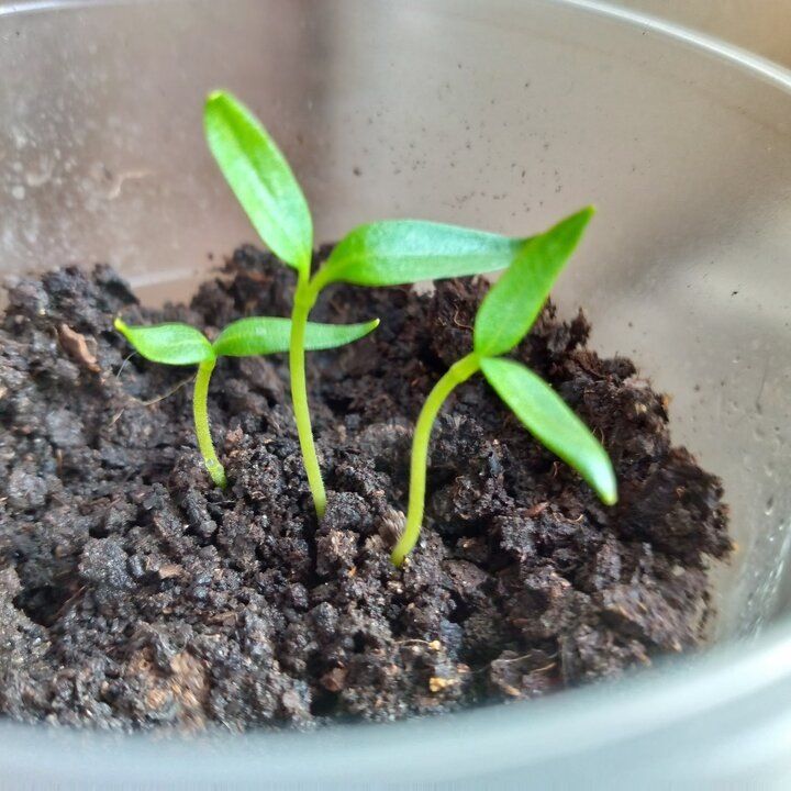 ����� ��������� ����� ������������� ����������: ��� ������, ������� ����� �����