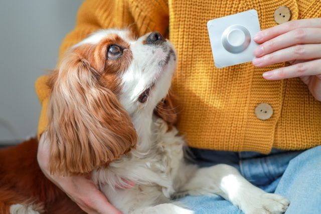 ��������� � �������� ������� ������������ ����������: ��� ����� ����� ���������� ��������